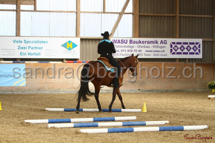 26-ApHC GT_065.jpg